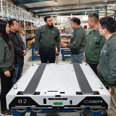 Четырехсторонний радиошuttle Car Для четырехстороннего шаттла паллет ASRS Автоматическая система хранения и извлечения Палетный бегущий стойка